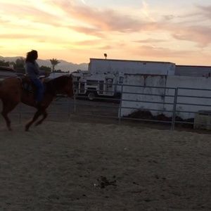 Meet your Posher, Roxana